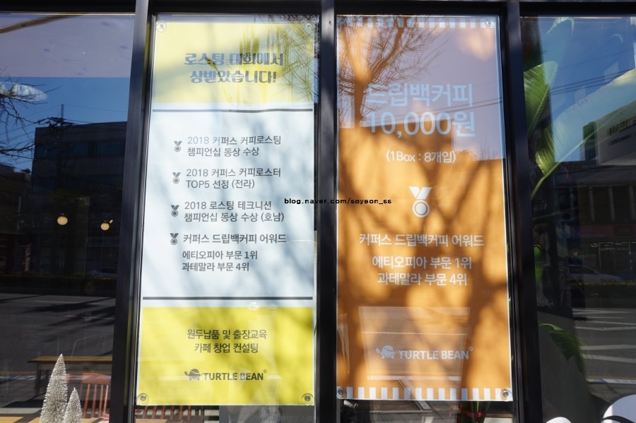 터틀빈 이미지