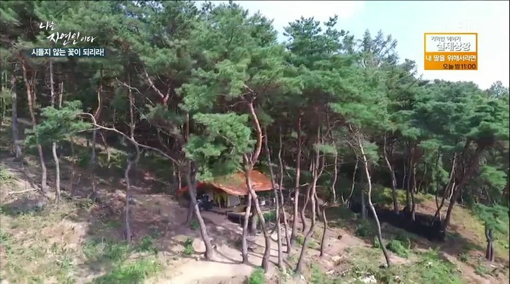 형제과일야채 이미지