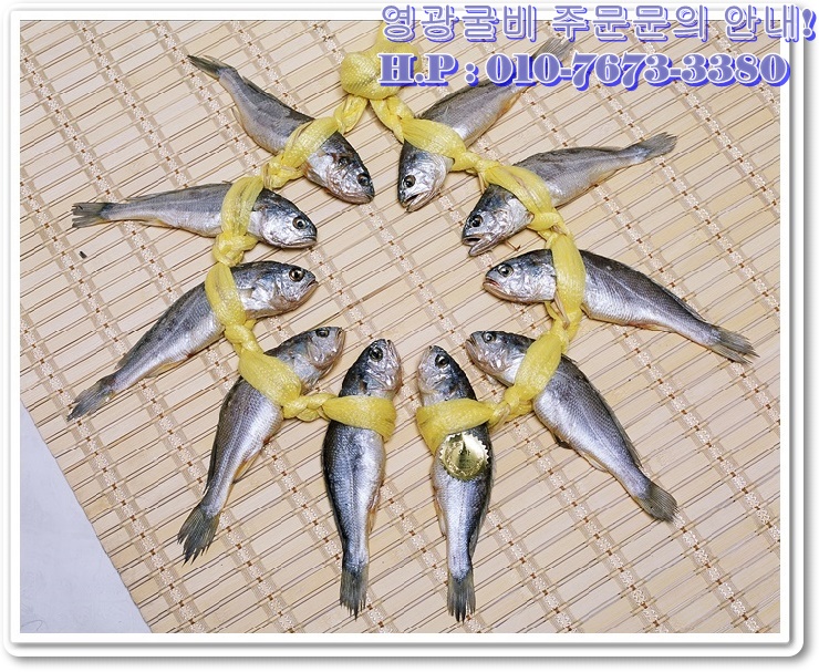 영광굴비 이미지