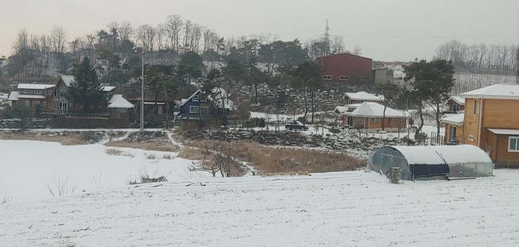 276.jpg