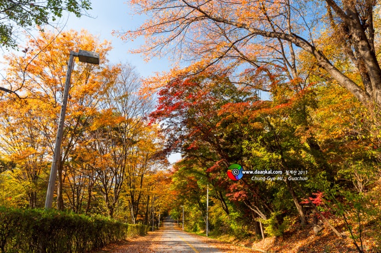 청계산식물원 이미지