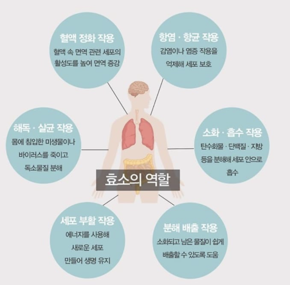 아이엠야식 이미지