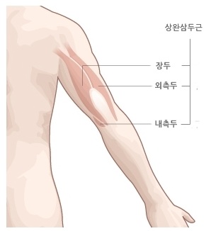 피트니스메카 이미지
