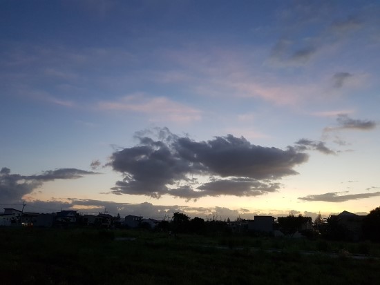 세성 이미지