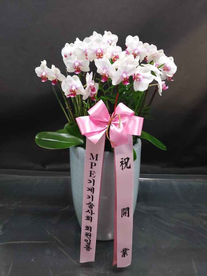 건일엔지니어링 이미지