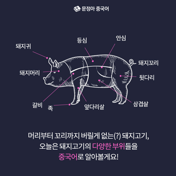 내맘대로돼지 이미지