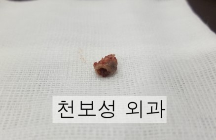 중앙외과 이미지
