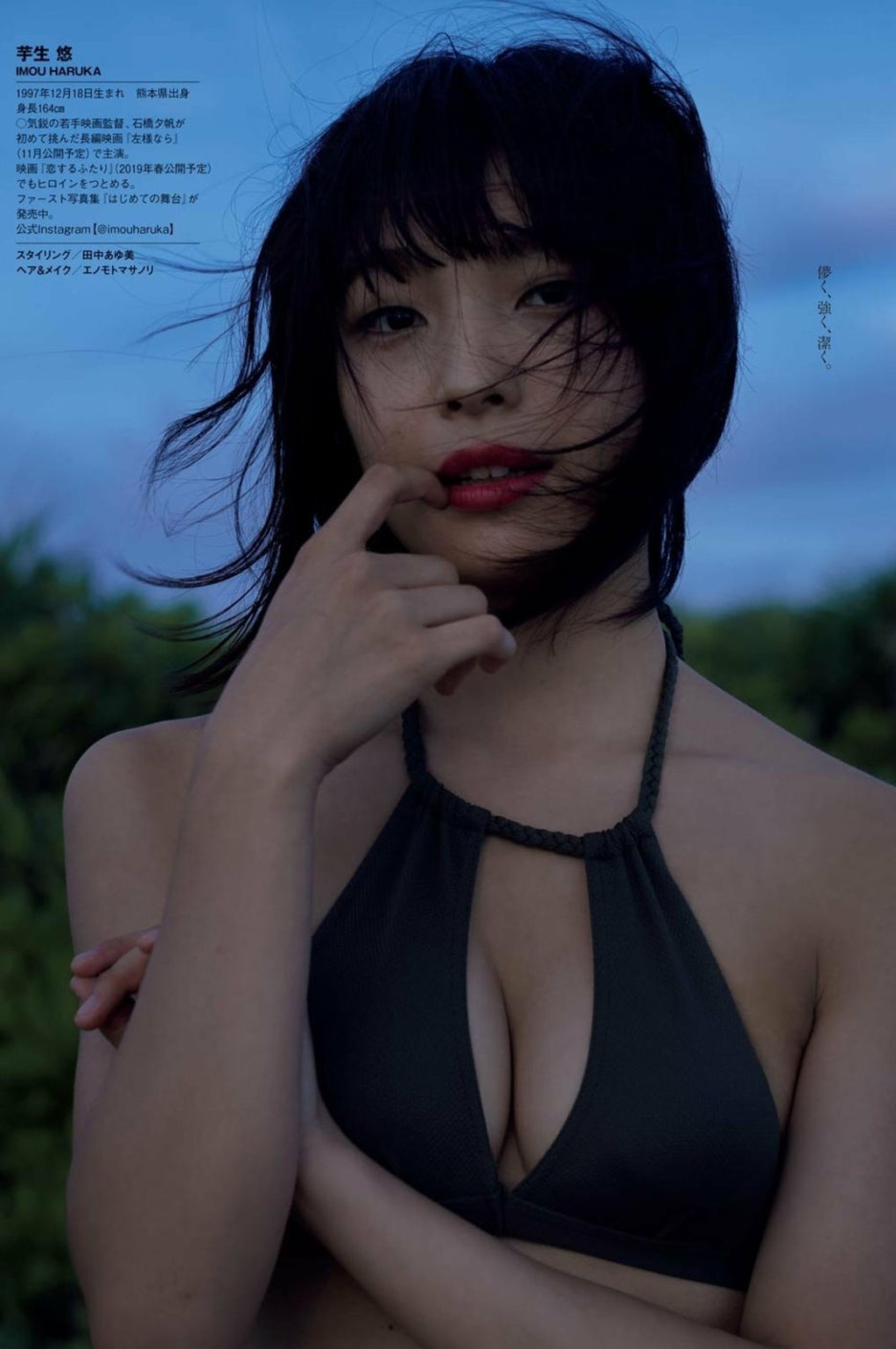 이모우 이미지