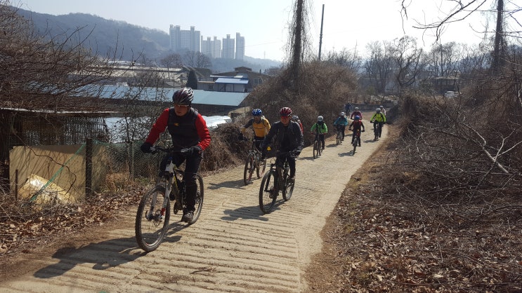 포도골오리명가 이미지