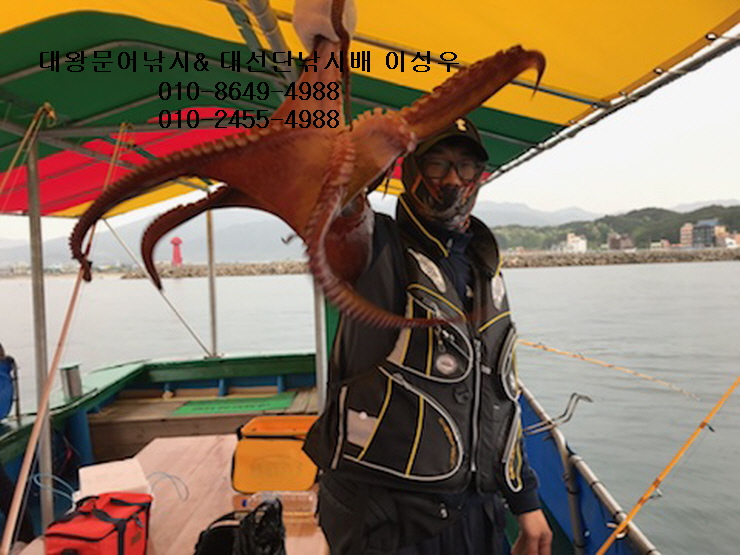 서해왕낚시 이미지