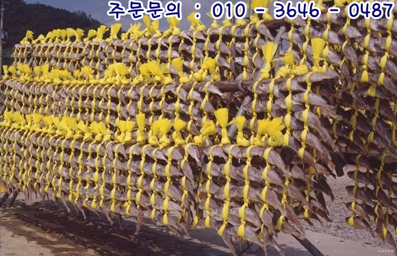 영광냉동수산 이미지