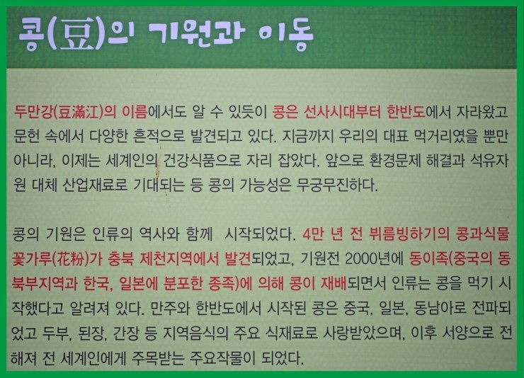 콩과하 이미지