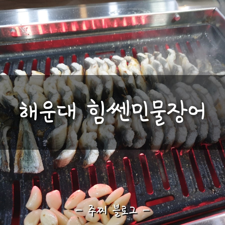 힘쎈민물장어 이미지