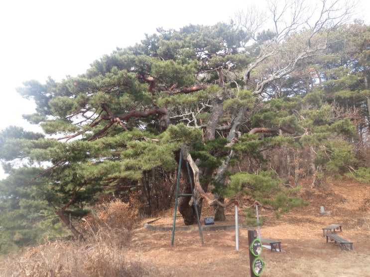 황산 관광농원 이미지