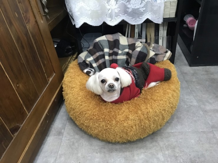 어썸네일 이미지