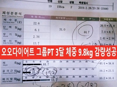 오오다이어트 이미지