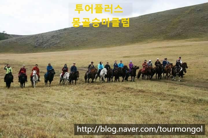 투어플러스몽골여행 이미지
