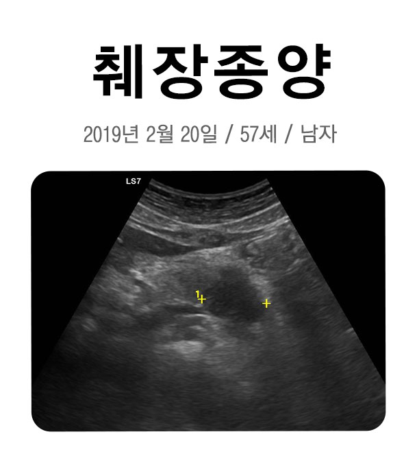 셀빙강내과의원 이미지