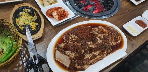 코기조은집 이미지