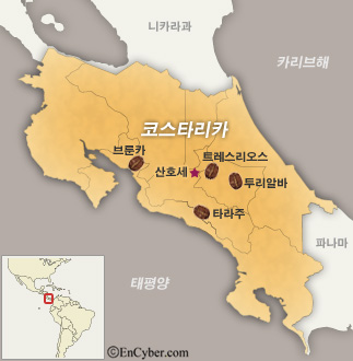 유앤아이커피 이미지