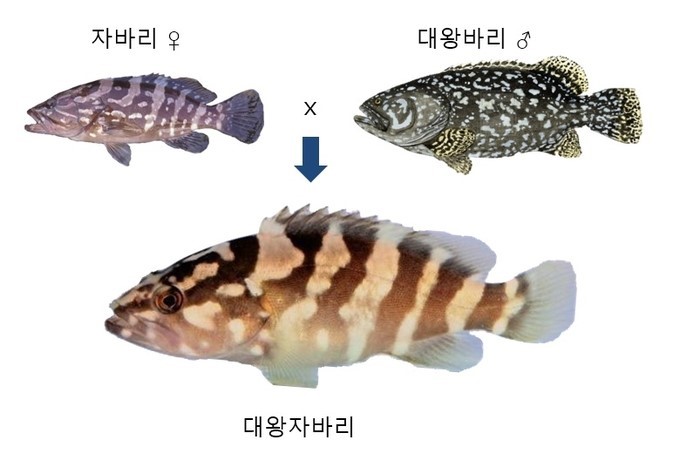 성화낚시터 이미지