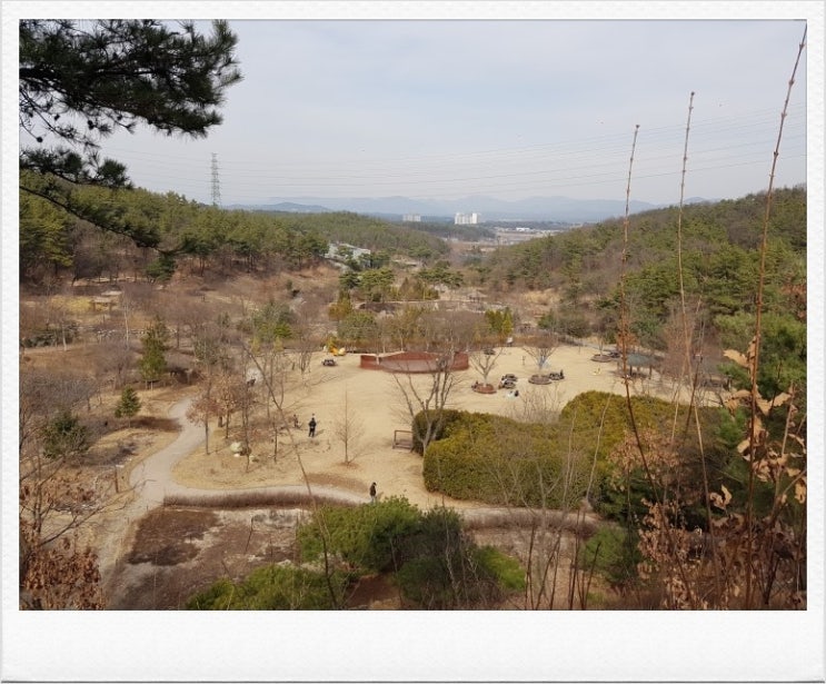 황학산수목원 이미지