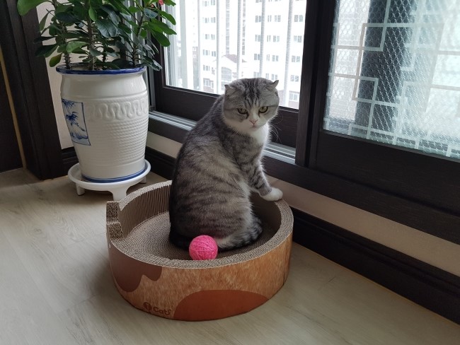 행복잡고 이미지