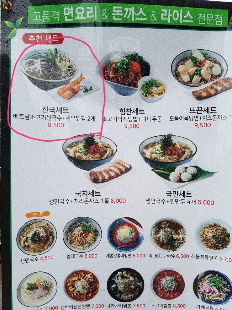 국수나무 이미지