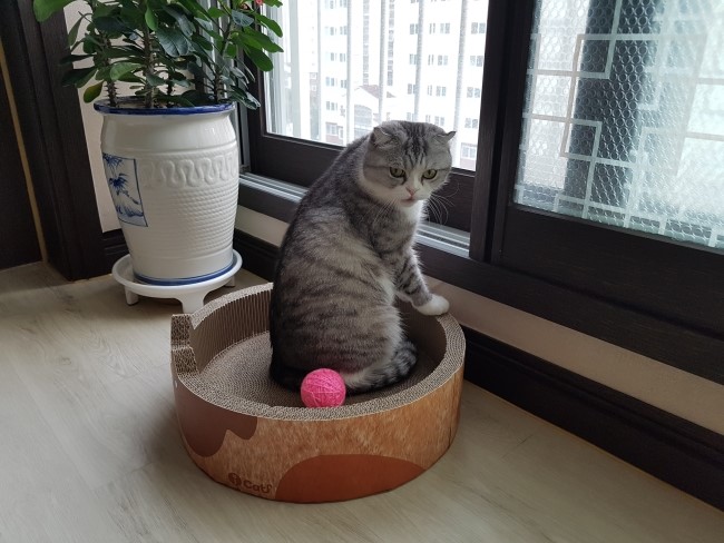 행복잡고 이미지