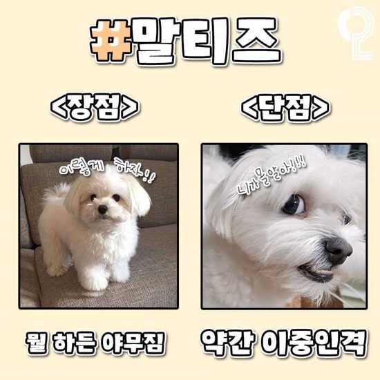 언커먼빈티지 이미지