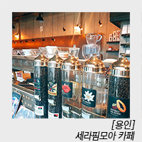 세라핌모아 이미지