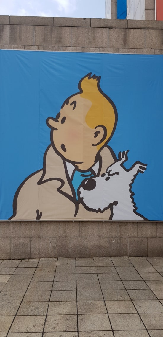 도현지 이미지