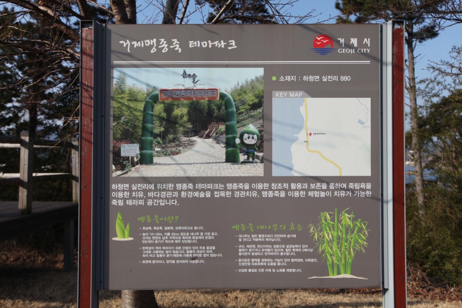 쌈지거제 이미지
