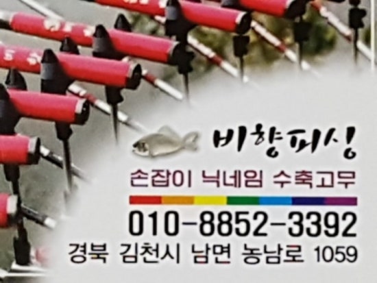 비향피싱 이미지