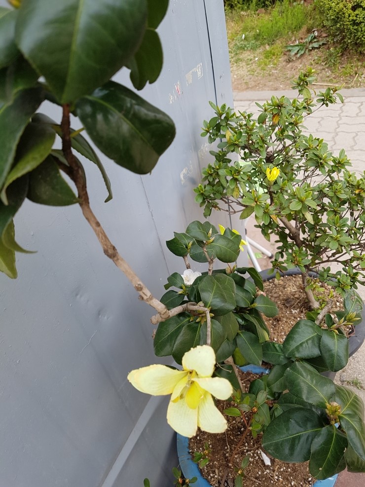 구두병원 이미지