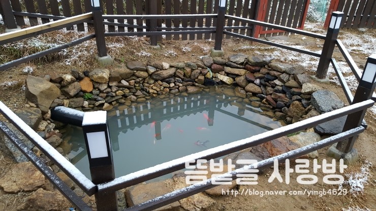 [연못만들고 분수대 설치하기] : 네이버 블로그