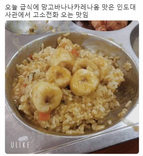 온카레 이미지