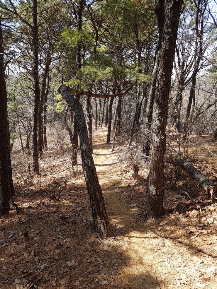 농장주유소 이미지