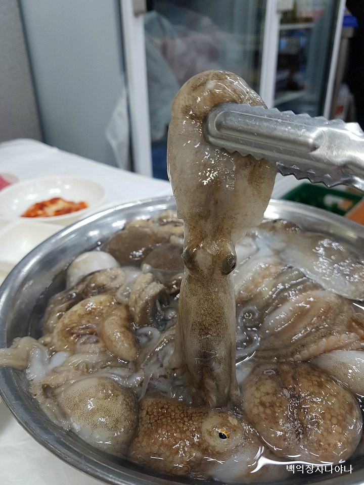 우진네 이미지