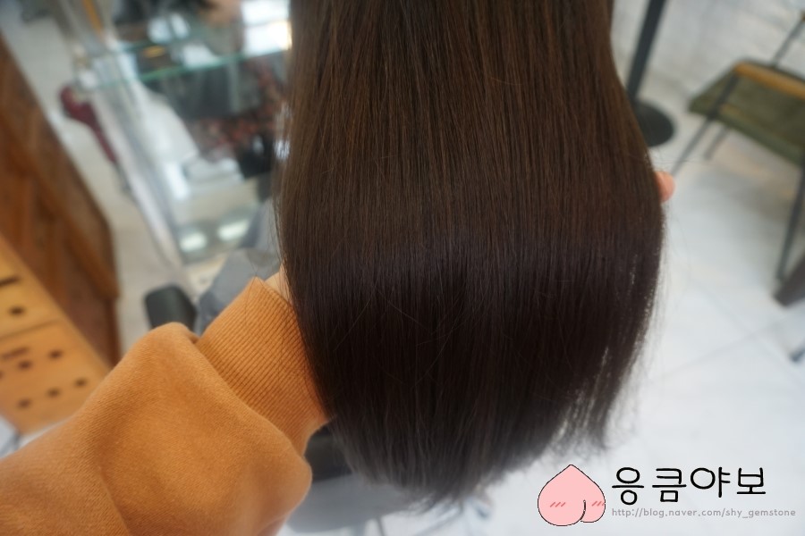 메종드헤어0403 W점 이미지