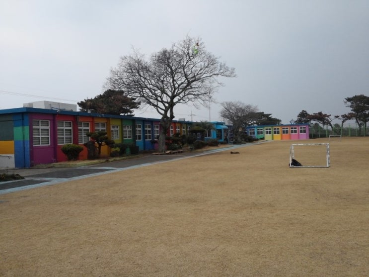 애월초등학교 이미지