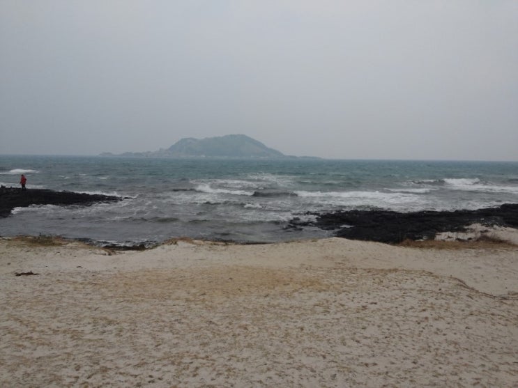 애월초등학교 이미지