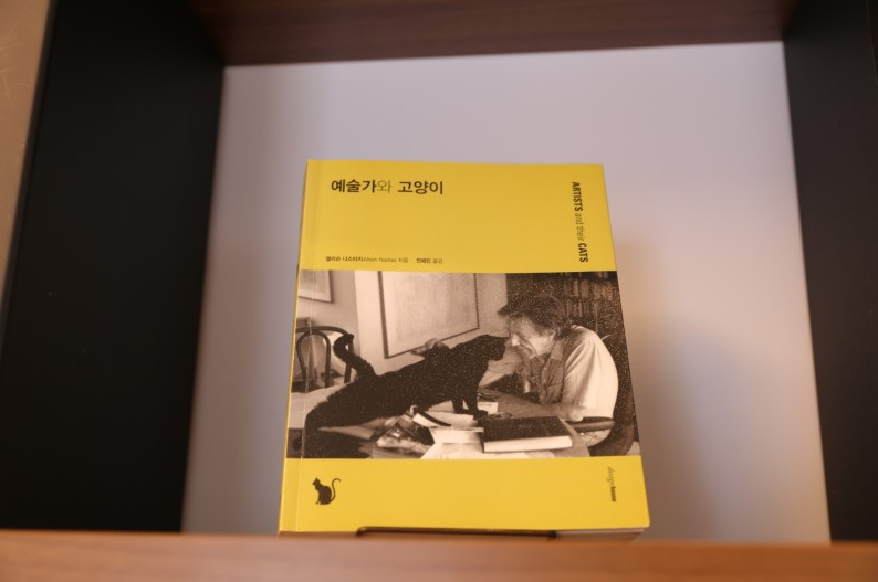 V라인S라인 이미지