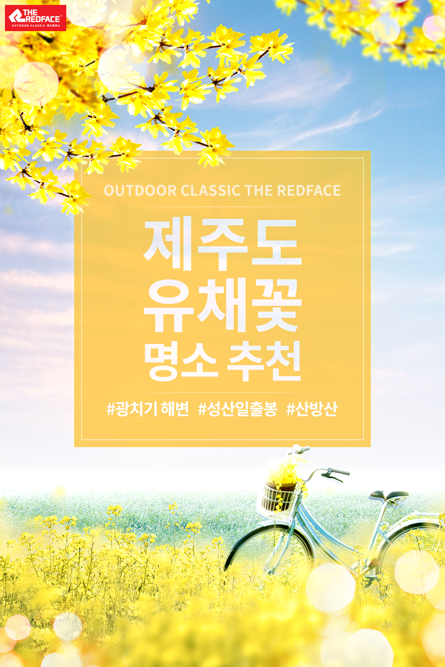 레드페이스제주 이미지
