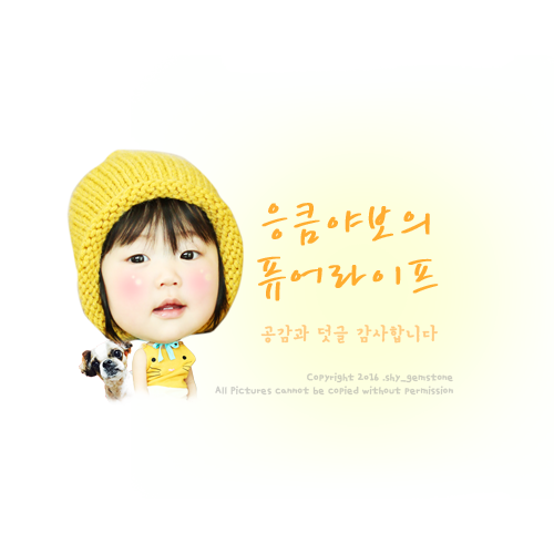메종드헤어0403 W점 이미지