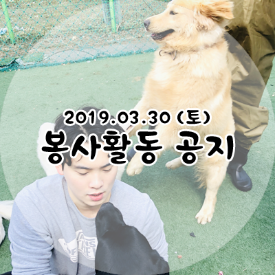 유미사 이미지