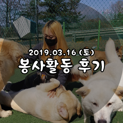 유미사 이미지