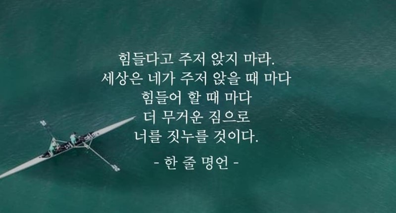 웅스 이미지