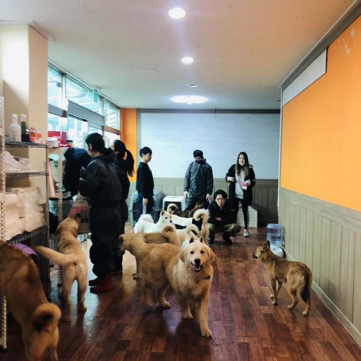 유미사 이미지