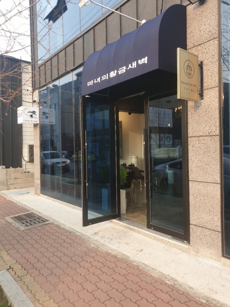 마녀의황금새벽 이미지